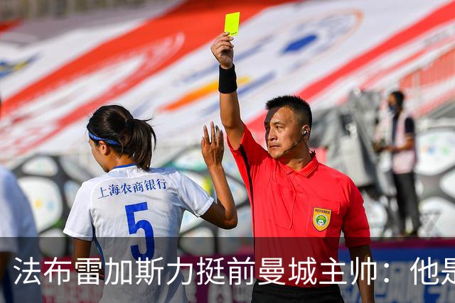 法布雷加斯力挺前曼城主帅：他是赢家，早已证明自己