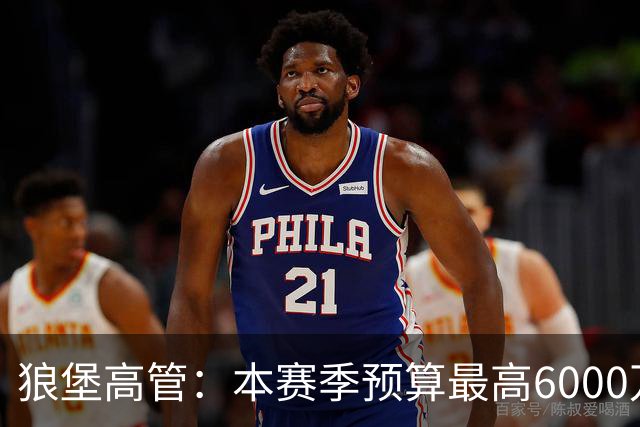 狼堡高管：本赛季预算最高6000万欧，力争完成在德乙的目标